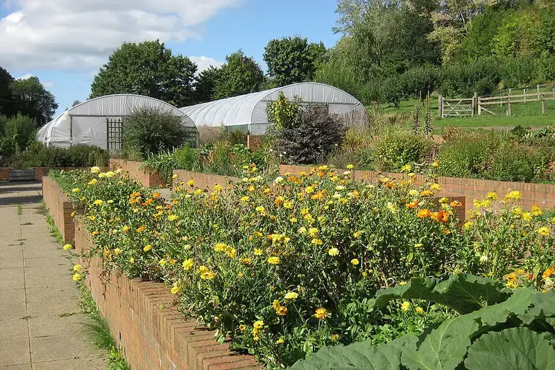 Raised flower and vegetable beds at an urban growing site
